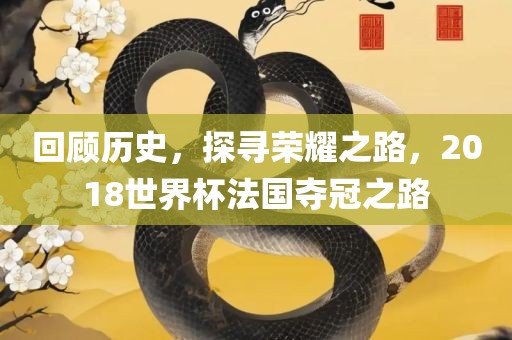 回顾历史，探寻荣耀之路，2018世界杯法国夺冠之路