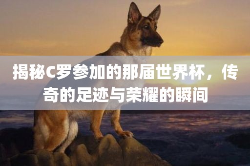 揭秘C罗参加的那届世界杯，传奇的足迹与荣耀的瞬间