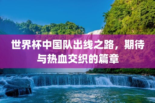 世界杯中国队出线之路，期待与热血交织的篇章