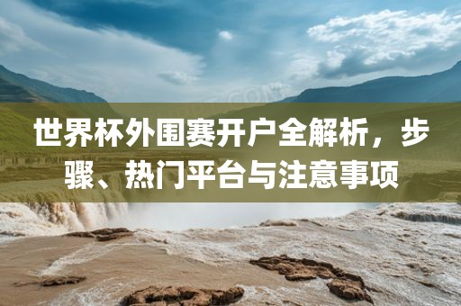 世界杯外围赛开户全解析，步骤、热门平台与注意事项