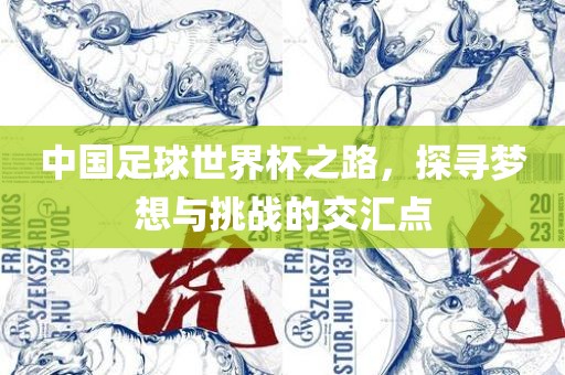 梦想与挑战的交汇点