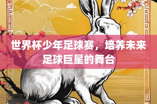 世界杯少年足球赛，培养未来足球巨星的舞台