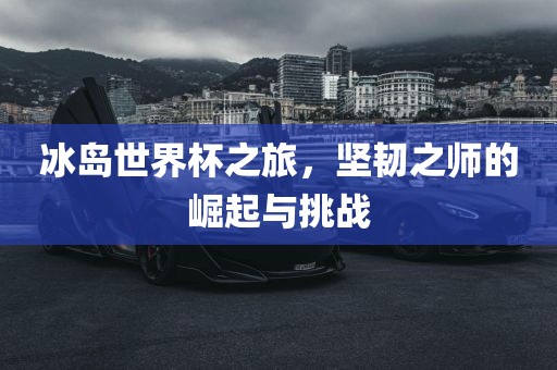 冰岛世界杯之旅，坚韧之师的崛起与挑战