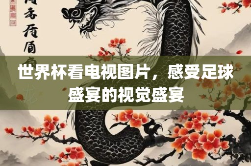 世界杯看电视图片，感受足球盛宴的视觉盛宴