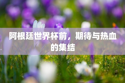 阿根廷世界杯前，期待与热血的集结