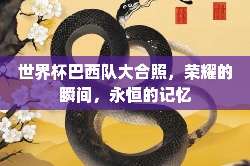 世界杯巴西队大合照，荣耀的瞬间，永恒的记忆