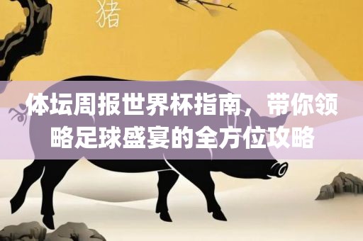 体坛周报世界杯指南，带你领略足球盛宴的全方位攻略