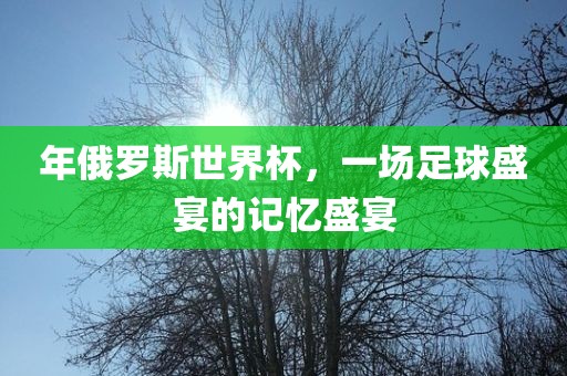 年俄罗斯世界杯，一场足球盛宴的记忆盛宴