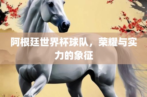阿根廷世界杯球队，荣耀与实力的象征