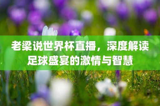 老梁说世界杯直播，深度解读足球盛宴的激情与智慧