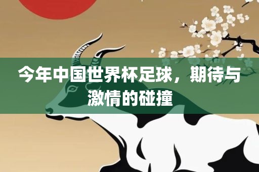 今年中国世界杯足球，期待与激情的碰撞