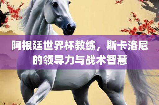 阿根廷世界杯教练，斯卡洛尼的领导力与战术智慧