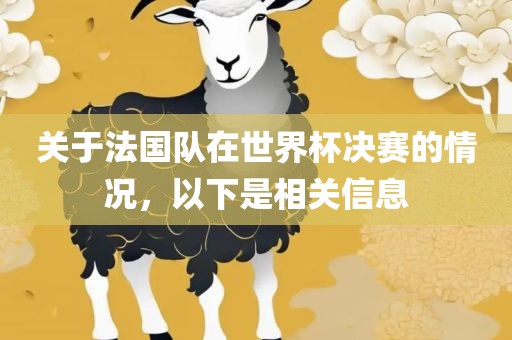 关于法国队在世界杯决赛的情况，以下是相关信息