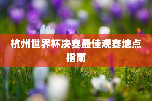 杭州世界杯决赛最佳观赛地点指南