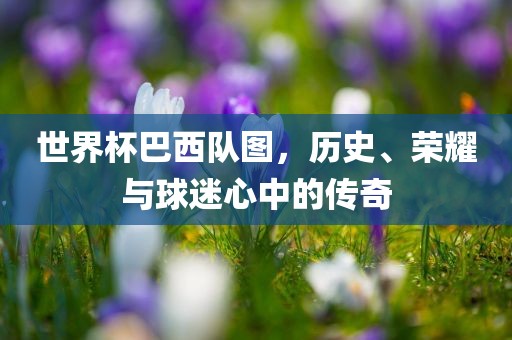 世界杯巴西队图，历史、荣耀与球迷心中的传奇