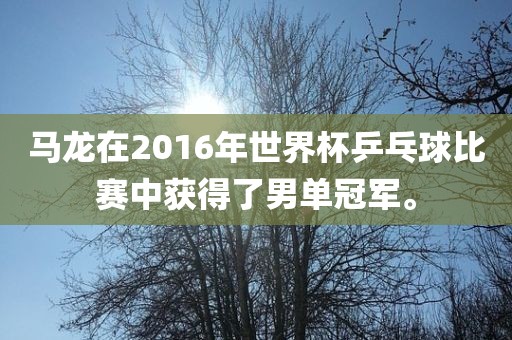 马龙在2016年世界杯乒乓球比赛中获得了男单冠军。