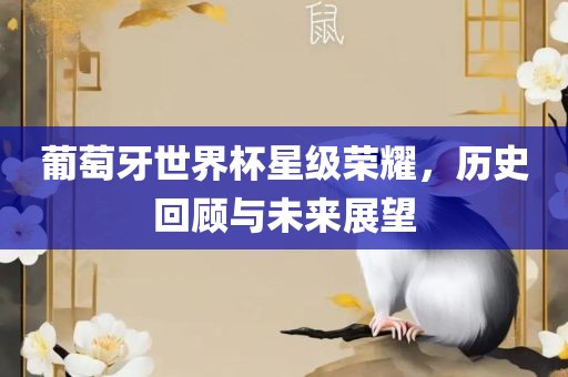 葡萄牙世界杯星级荣耀，历史回顾与未来展望