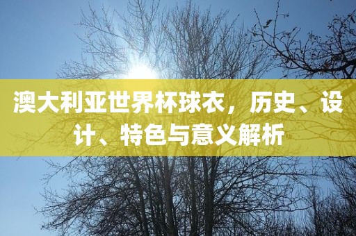 澳大利亚世界杯球衣，历史、设计、特色与意义解析