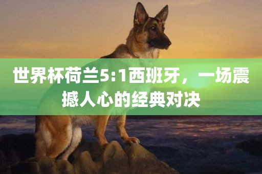 世界杯荷兰5:1西班牙，一场震撼人心的经典对决