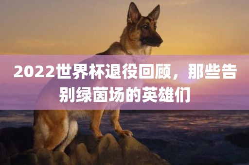 2022世界杯退役回顾，那些告别绿茵场的英雄们