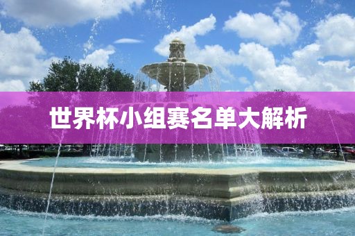 世界杯小组赛名单大解析