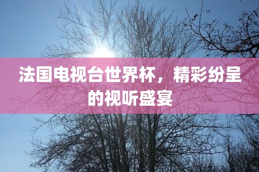 法国电视台世界杯，精彩纷呈的视听盛宴