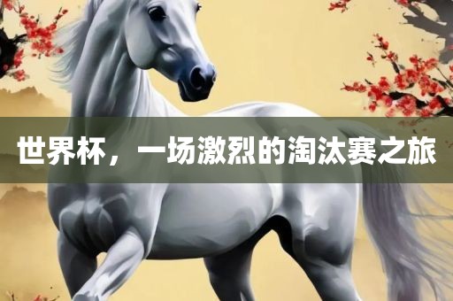 世界杯，一场激烈的淘汰赛之旅