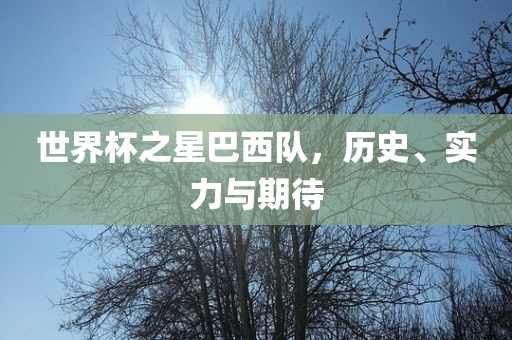 世界杯之星巴西队，历史、实力与期待
