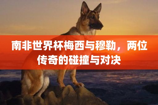 南非世界杯梅西与穆勒，两位传奇的碰撞与对决