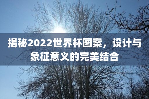 揭秘2022世界杯图案，设计与象征意义的完美结合