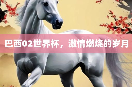 巴西02世界杯，激情燃烧的岁月
