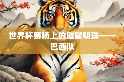 世界杯赛场上的璀璨江门市永晋源无纺布有限公司明珠——巴西队