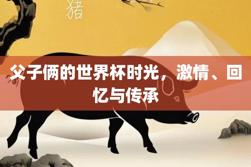 父子俩的世界杯时光，激情、回忆与传承