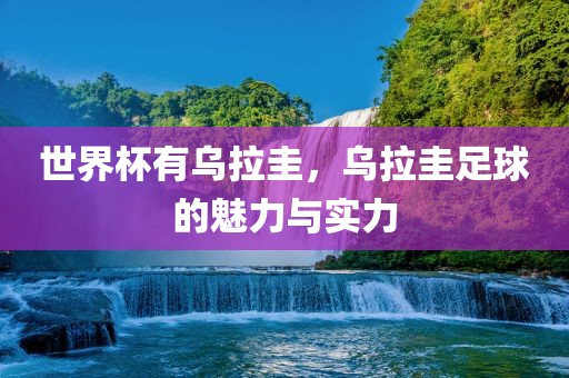 世界杯有乌拉圭，乌拉圭足球的魅力与实力