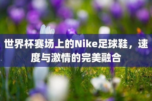 世界杯赛场上的Nike足球鞋，速度与激情的完美融合