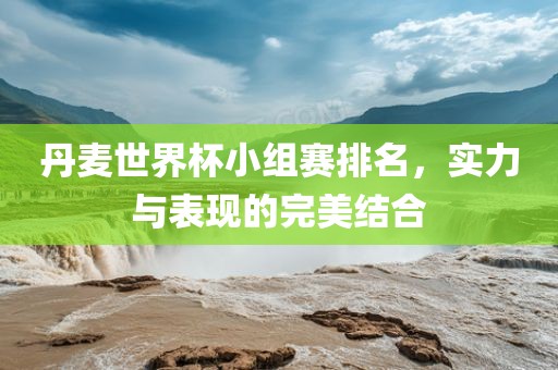 丹麦世界杯小组赛排名，实力与表现的完美结合