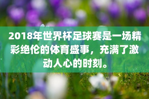 2018年世界杯足球赛是一场精彩绝伦的体育盛事，充满了激动人心的时刻。