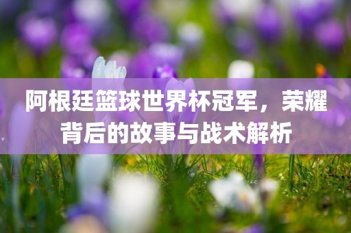 阿根廷篮球世界杯冠军，荣耀背后的故事与战术解析