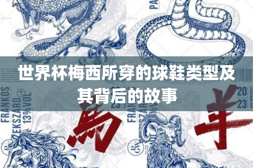 世界杯梅西所穿的球鞋类型及其背后的故事