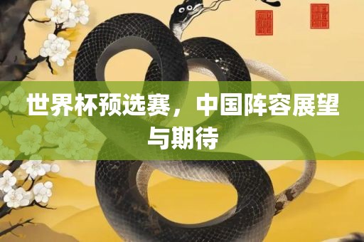 世界杯预选赛，中国阵容展望与期待