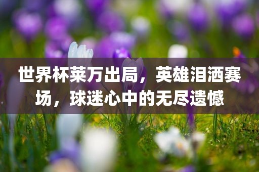 世界杯莱万出局，英雄泪洒赛场，球迷心中的无尽遗憾