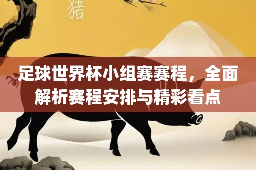 足球世界杯小组赛赛程，全面解析赛程安排与精彩看点