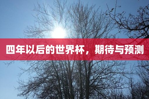 四年以后的世界杯，期待与预测
