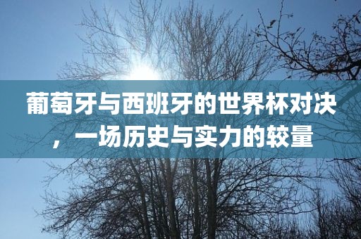葡萄牙与西班牙的世界杯对决，一场历史与实力的较量