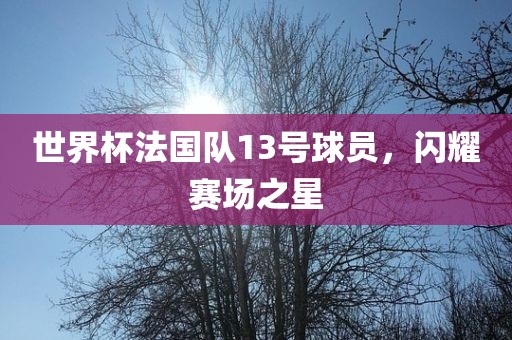世界杯法国队13号球员，闪耀赛场之星