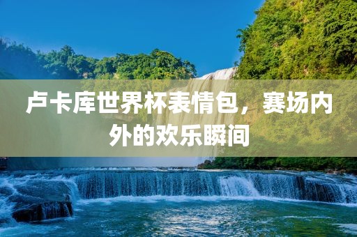 卢卡库世界杯表情包，赛场内外的欢乐瞬间