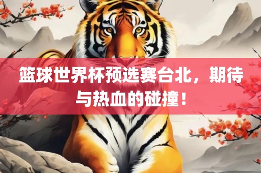 篮球世界杯预选赛台北，期待与热血的碰撞！