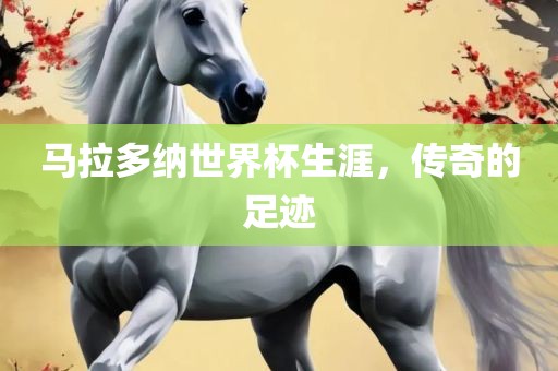 马拉多纳世界杯生涯，传奇的足迹