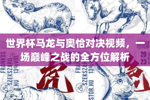 世界杯马龙与奥恰对决视频，一场巅峰之战的全方位解析