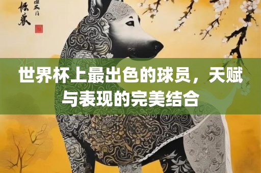 世界杯上最出色的球员，天赋与表现的完美结合